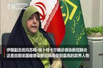 伊朗副总统等7位官员感染新冠病毒 