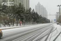 哈尔滨连续三日降雪 冰城风光依旧