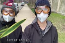 中国留学生“拯救植物大作战”