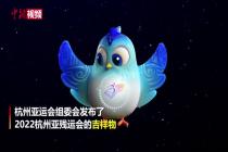 杭州亚残运会吉祥物“飞飞”发布