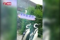 武汉小企鹅打卡全国地标