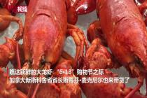 加拿大新斯科舍省省长录视频对华推销龙虾