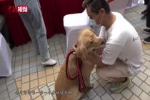 上海公安举办流浪犬领养活动 