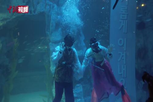 韩国潜水员身着传统服饰和鱼儿同游