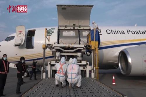 青藏高原载量最大全货运航线开通