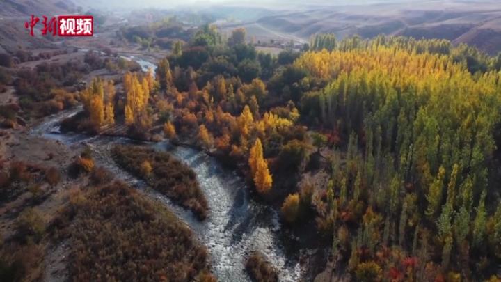 新疆塔西河流域持续21年生态补水 约等于70个西湖