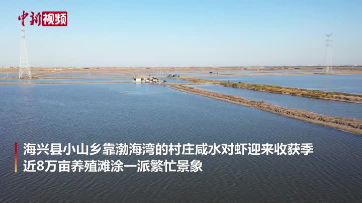 中新网