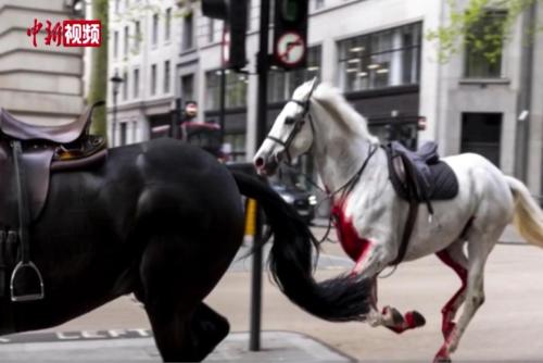 英国皇家骑兵队马匹失控在街头狂奔