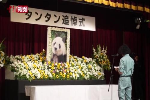 日本为旅日大熊猫“旦旦”举行追悼会