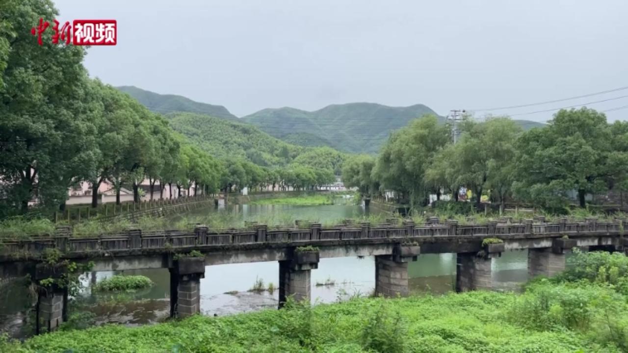 浙东革命老区村如何共富先行？红绿融合共绘乡村新图景-中新网