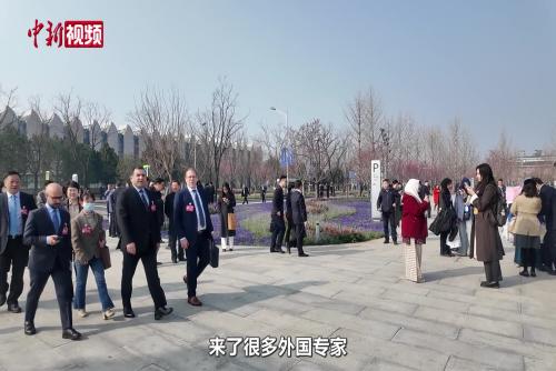 巴鐵友人點贊中關村論壇：中國AI與機器人技術成熟，惠及全球