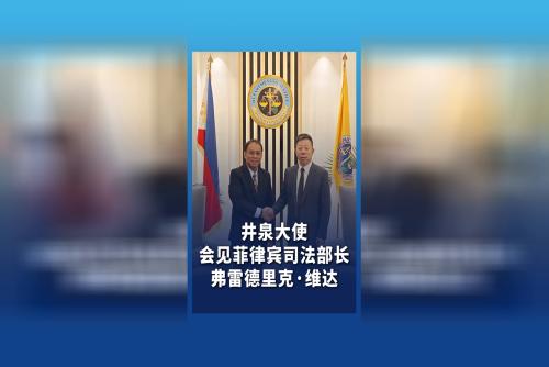 井泉大使會見菲律賓司法部長弗雷德里克·維達