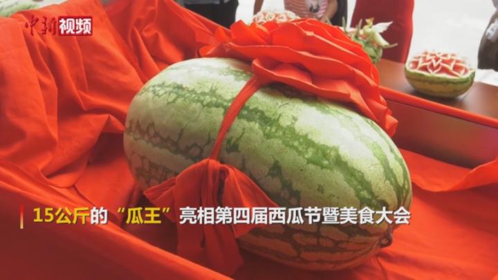 15公斤瓜王亮相新疆西瓜节