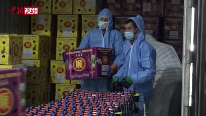 东盟水果春运路：“健康”跨境不停歇  飘香“中国年”