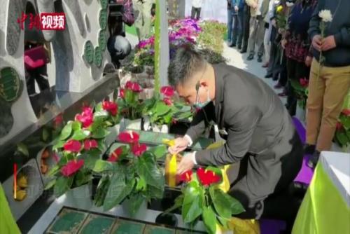 南京推出节地生态葬