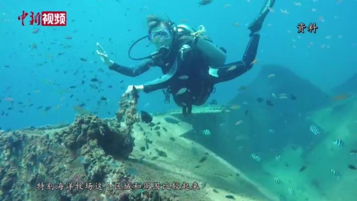 三亚一国家级海洋牧场新投放870个人工鱼礁