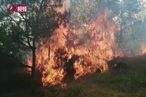 云南大理發生森林火災