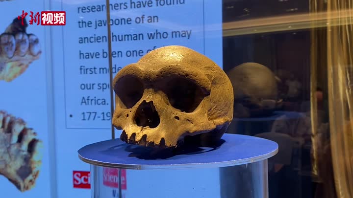 研究者称：哈尔滨古人类头骨化石为新人种“龙人”