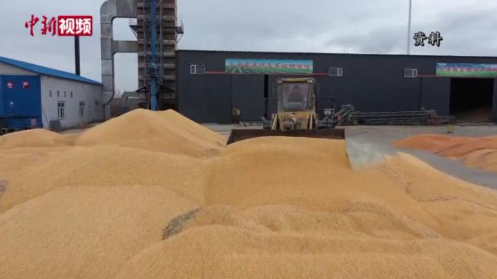 財政部：稻谷、小麥、玉米農業保險擴面提標 讓農民敢種糧
