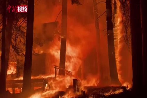 美国“卡尔多”山火肆虐