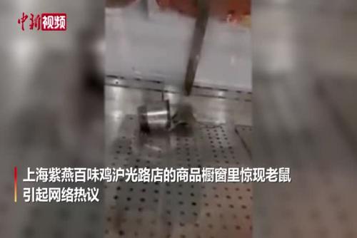 上海紫燕百味鸡一门店惊现老鼠 已停业整顿