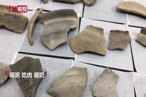 中国最新考古揭秘：食粥、炖肉、喝奶
