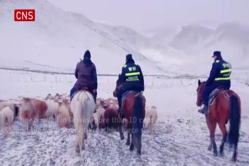 Police in Xinjiang help transfer trapped livestock