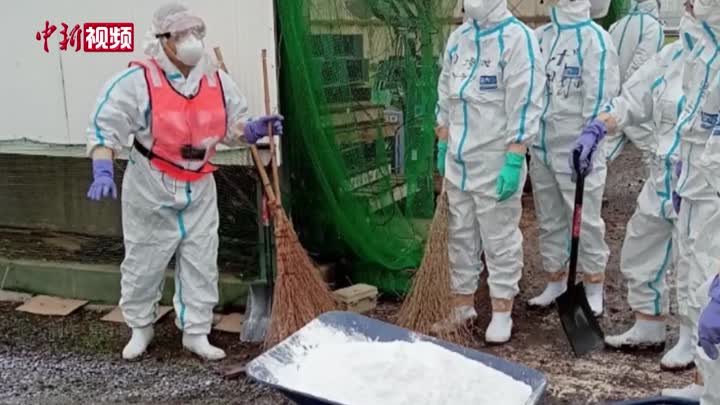 日本出现禽流感疫情 约3.8万只鸡被扑杀
