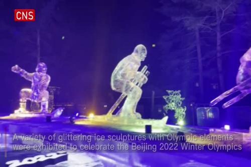 Harbin Ice Lantern Fair opens to celebrate Winter Olympics