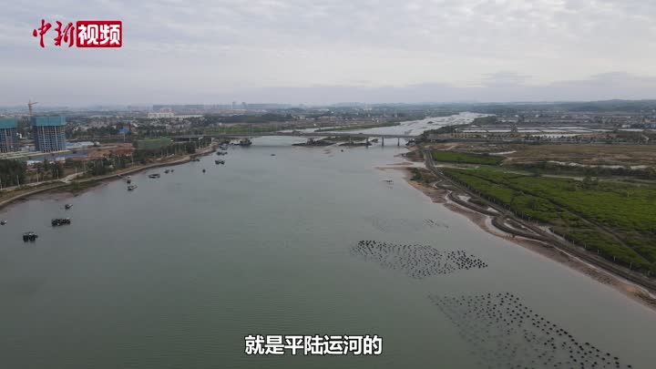 钦州市长：平陆运河投用不会影响大家吃生蚝
