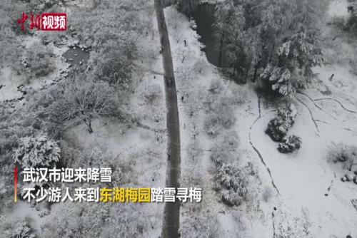 实拍武汉东湖梅园雪景