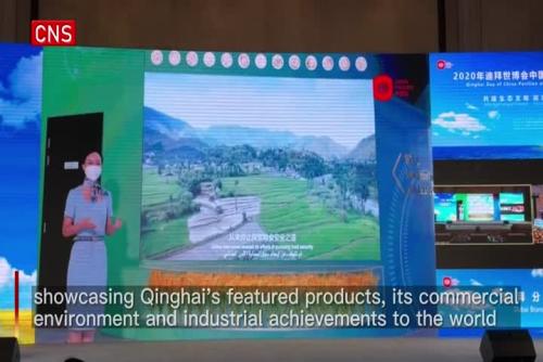 Qinghai Day of China Pavilion kicks off at Expo 2020 Dubai