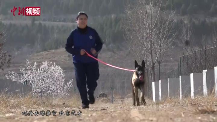 消防搜救犬女教練員楊宇迪：它們就像我的孩子一樣