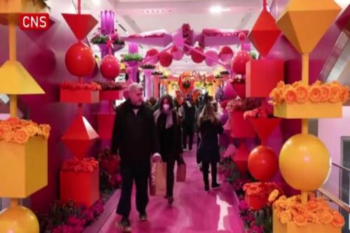 Macy's Flower Show 2022 opens