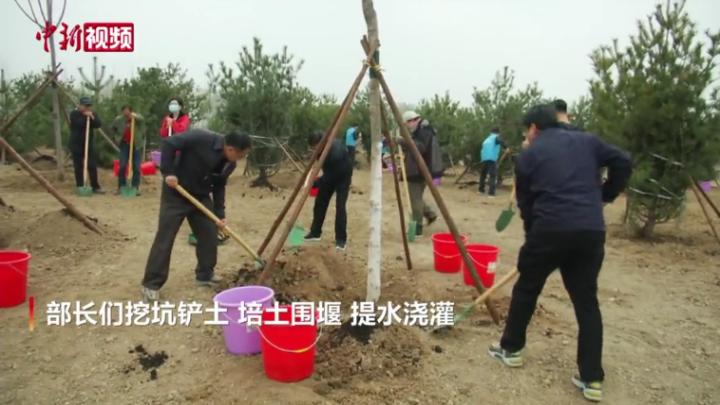 共和國部長義務植樹活動在京舉行 21年累計栽樹40530株