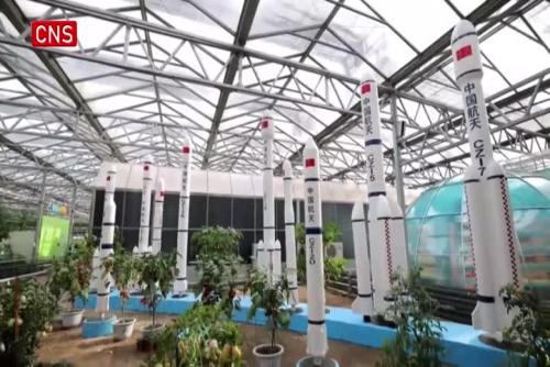 Expo in Shandong displays vegetables grown in simulated space environment