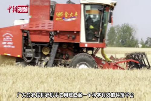 安徽阜陽：近800萬畝小麥陸續開鐮 