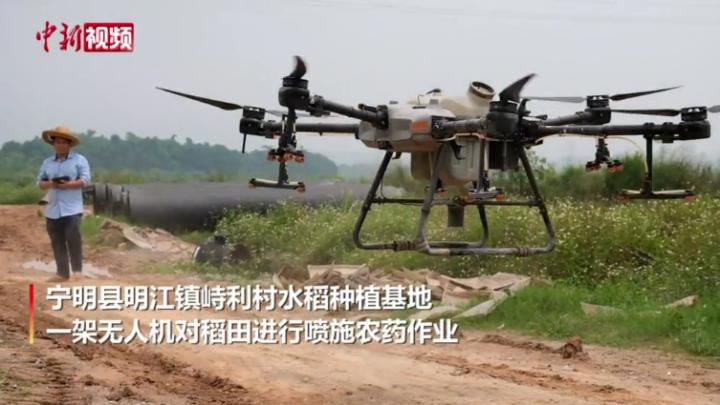 广西：无人机喷洒农药 不到5小时喷洒400亩