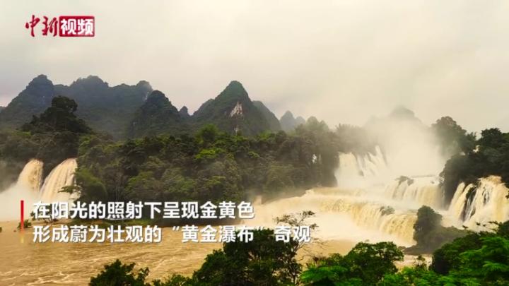 壯觀！亞洲第一跨國瀑布水量暴漲變身“黃金瀑布”