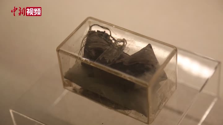 中新网视频频道