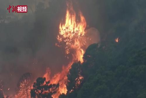 西班牙马拉加省发生山林火灾