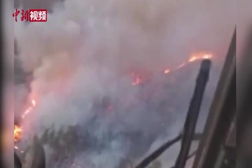 土耳其西南部发生森林火灾