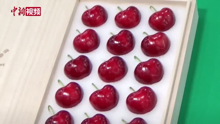 日本青森县水果拍卖会出现“天价樱桃”