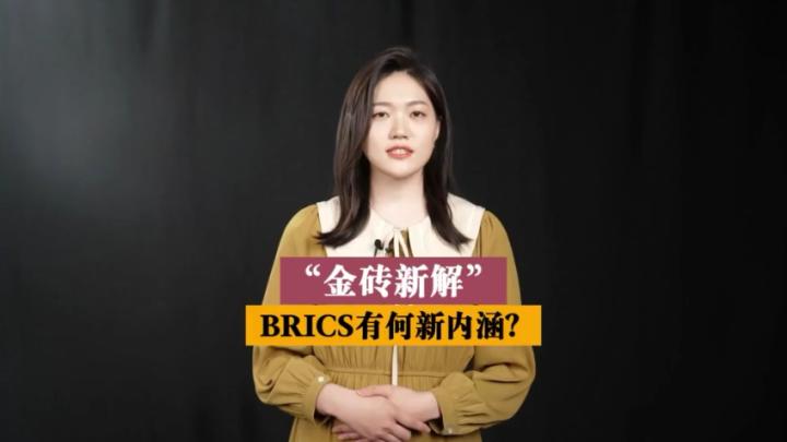 小新Talkshow：“金砖新解”—— BRICS有何新内涵？