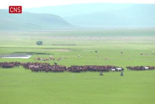 Nadam fair held in China's Inner Mongolia Autonomous Region
