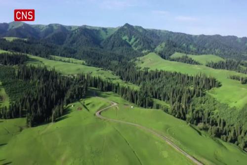 Aerial view of Nalati Grassland in China's Xinjiang