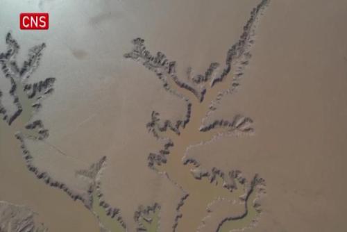 Giant sand paintings in the Yellow River bed