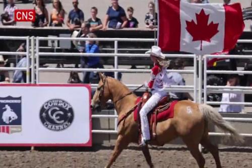 Bull riders battle at Calgary Stampede