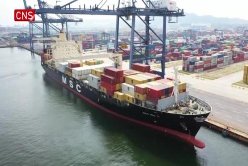 Mediterranean Shipping launches direct route from NE China to SE Asia