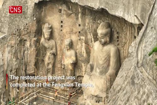 Restored giant Buddha statue unveiled at Longmen Grottoes
